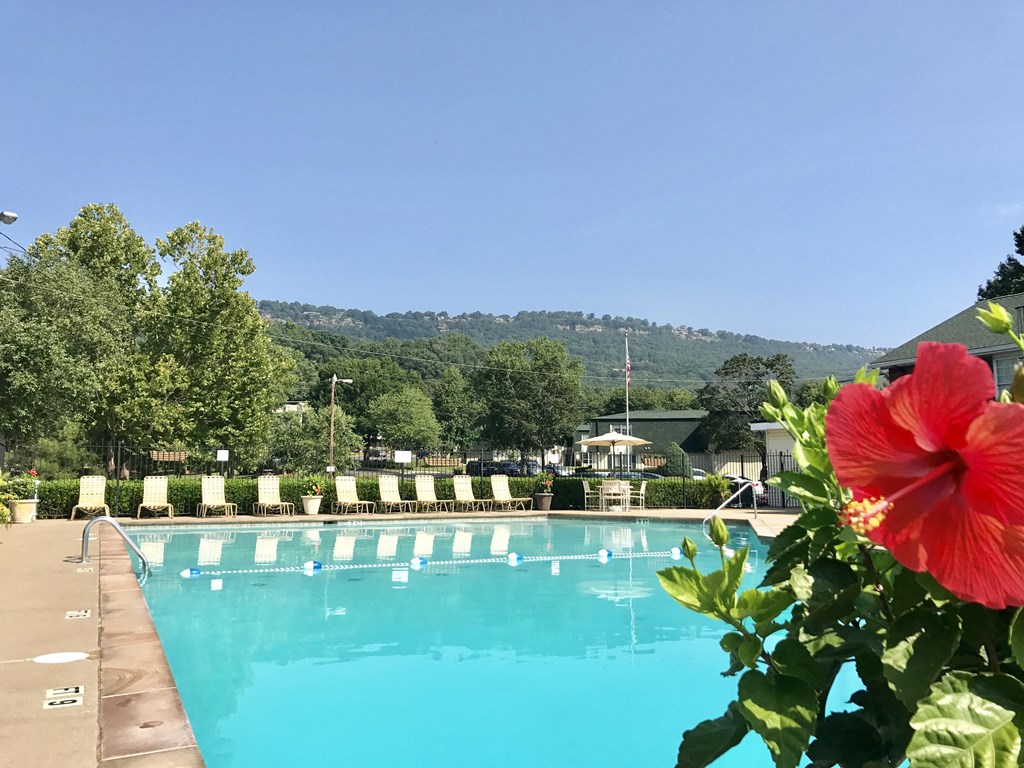 a swimming pool with a red hibiscus flower in front of it