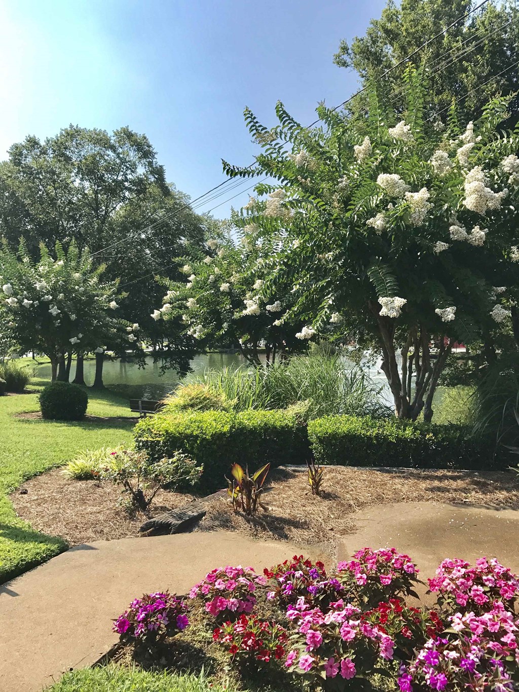 a garden with flowers and trees in a park
