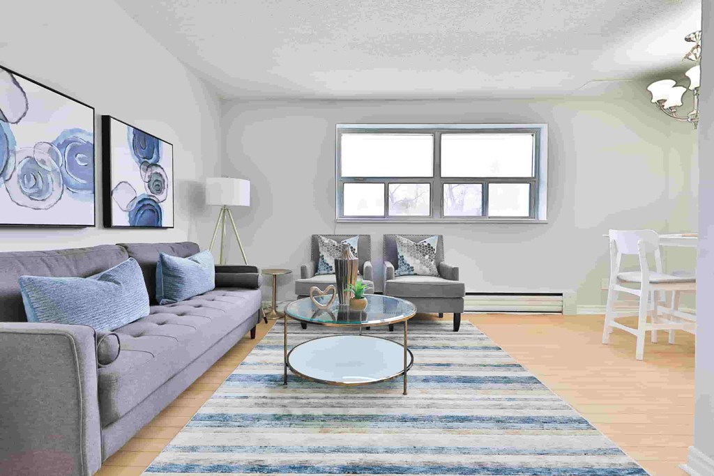 A living room with a grey couch, a coffee table, and a rug.