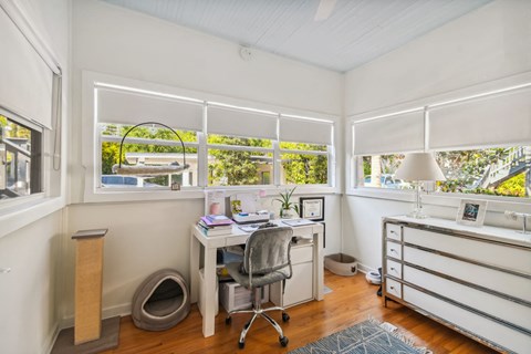 A room with a desk, chair, and a cat tree.