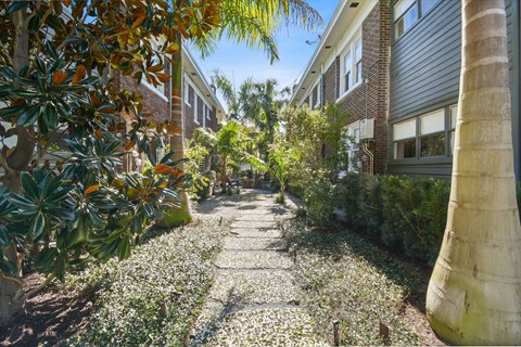 A pathway lined with white flowers and greenery leads through a courtyard.