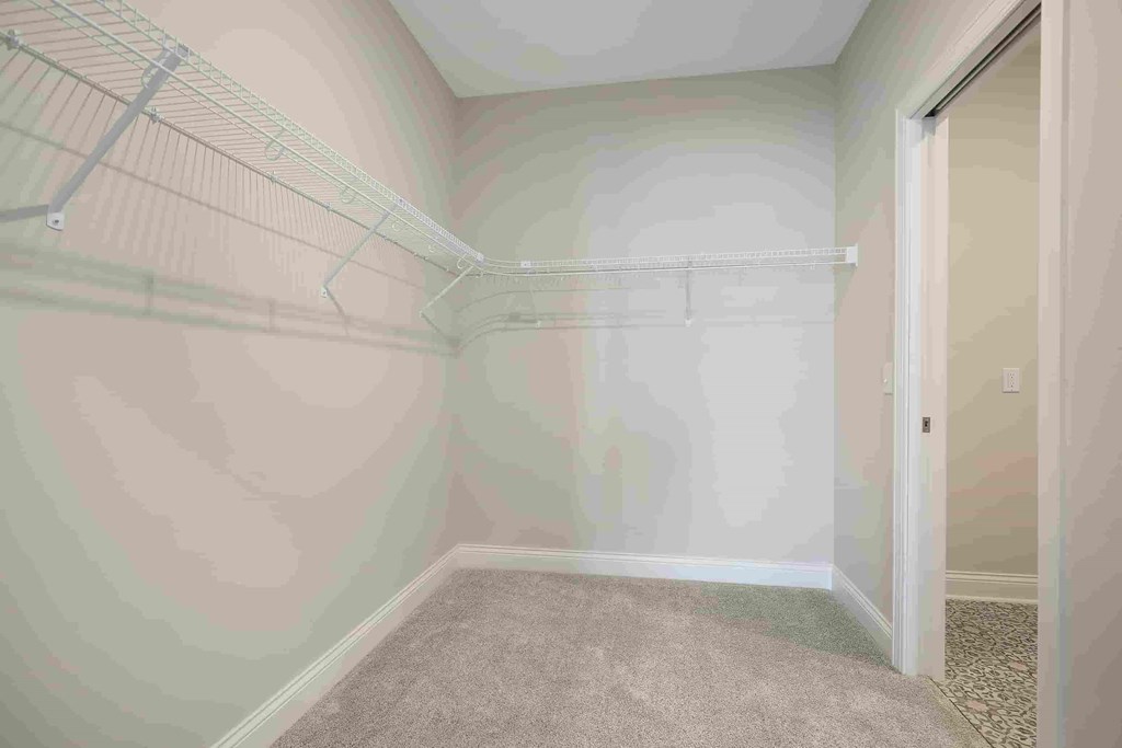 a large closet in a room with a carpeted floor