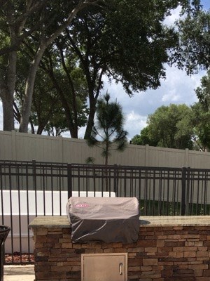 Brand New Internet Cabana Brand New Internet Cabana
