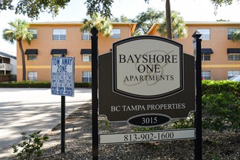 Bayshore Gardens Apartments For Rent Tampa Fl Rentcafe