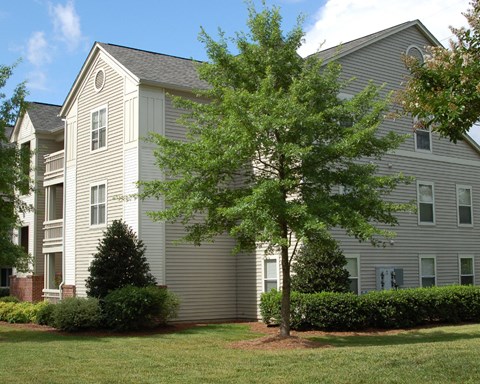 a view of a building with a tree in front of it