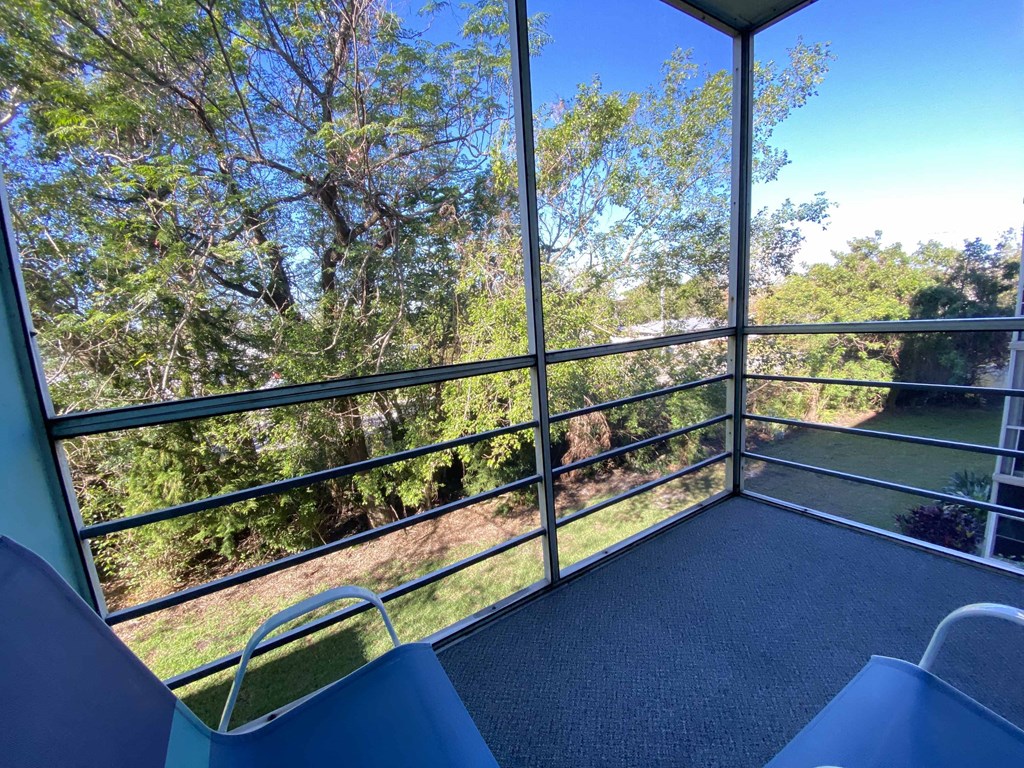 a room with a view of the yard and trees