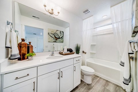 a bathroom with a sink and a toilet and a shower