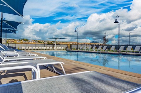 the pool at the resort at longboat key club