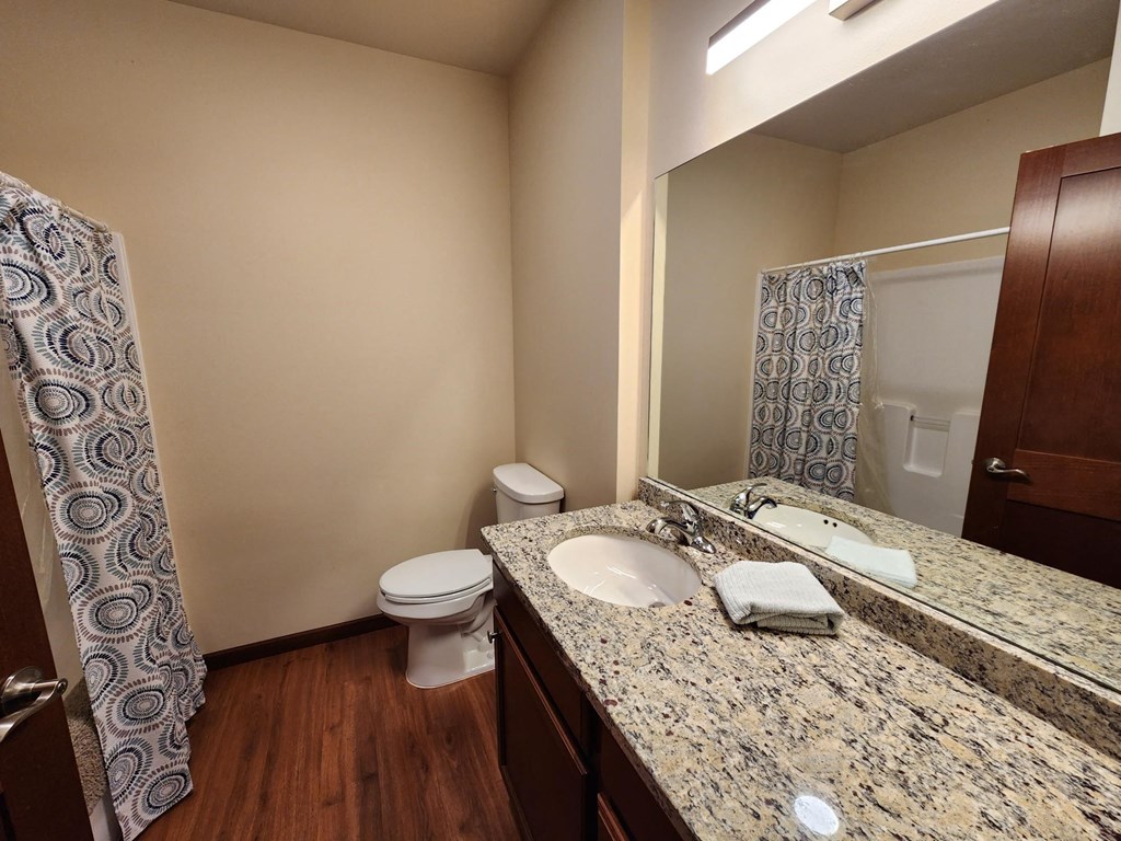 a bathroom with a sink and a toilet and a mirror