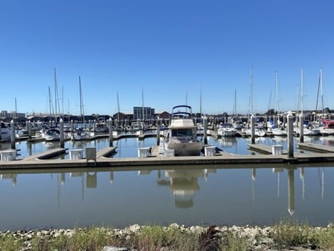 A marina with boats docked and a car parked on the dock.