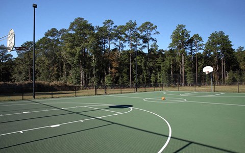 a basketball court in a park with trees