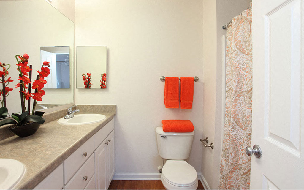 a bathroom with a toilet and a sink and a shower