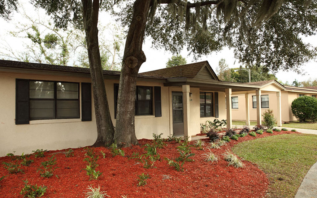 a house with a tree in front of it