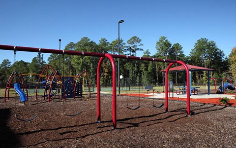 a playground with monkey bars and slides at a park