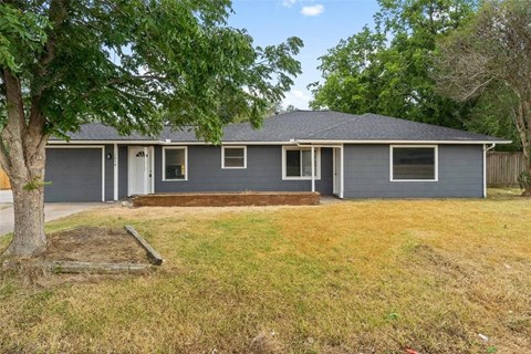 a blue house with a yard and a tree
