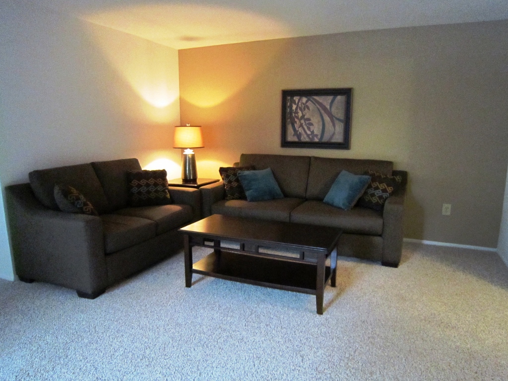 2 Bedroom/1.5 Bath Living Room