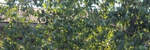 Garden Property Management Harrisburg Pa Garden Property Management Harrisburg Pa