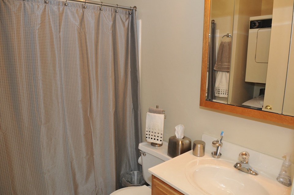 washer and dryer in bath area