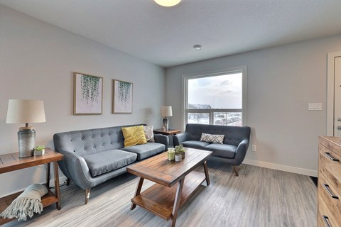 a living room with two couches and a coffee table