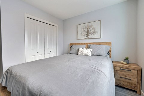 a bedroom with a bed and a closet