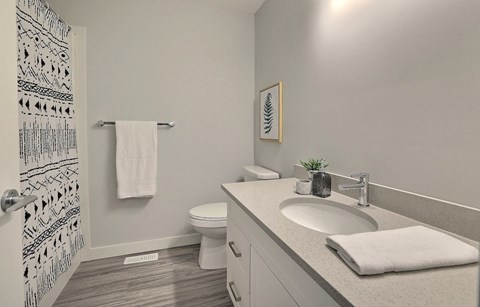a bathroom with a sink and a toilet