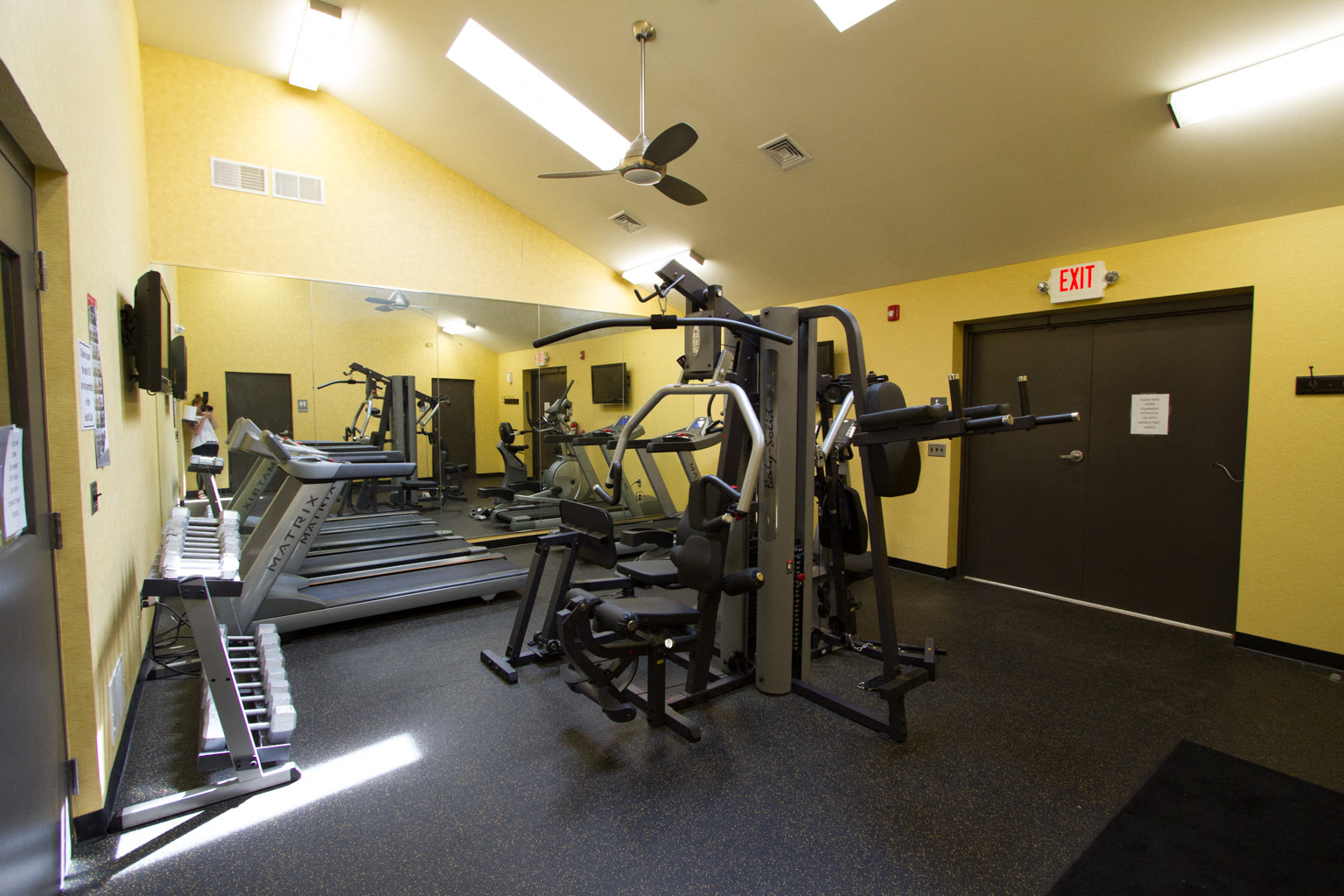 treadmills, eliptical, bikes and free weights