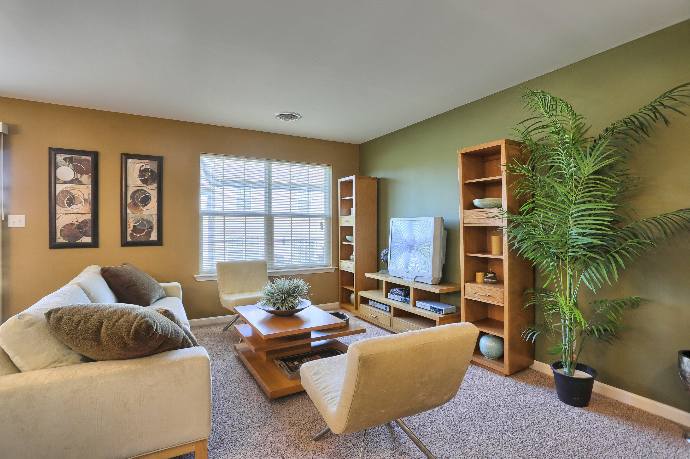 Living room with accent walls