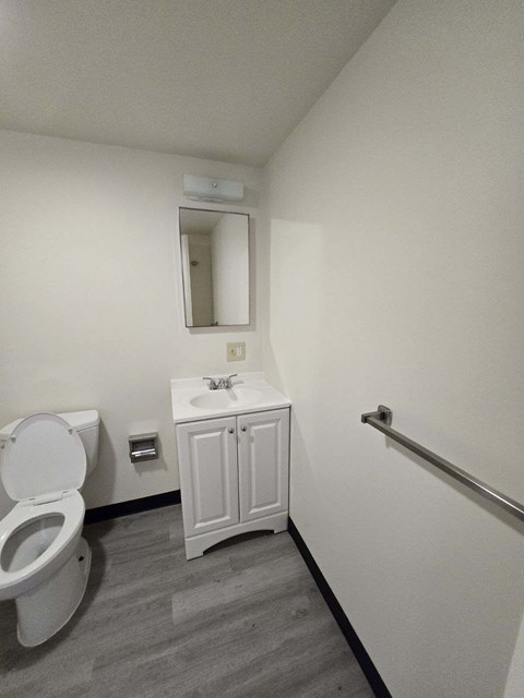 a bathroom with a toilet and a sink and a mirror