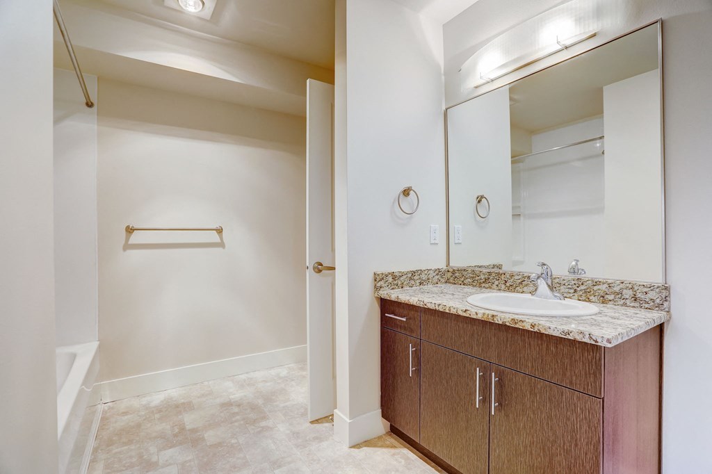 a bathroom with a sink and a shower and a mirror