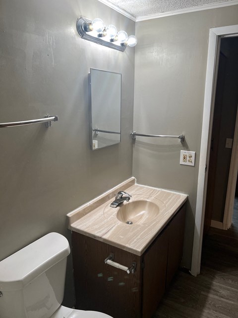 A bathroom with a sink, toilet and mirror.