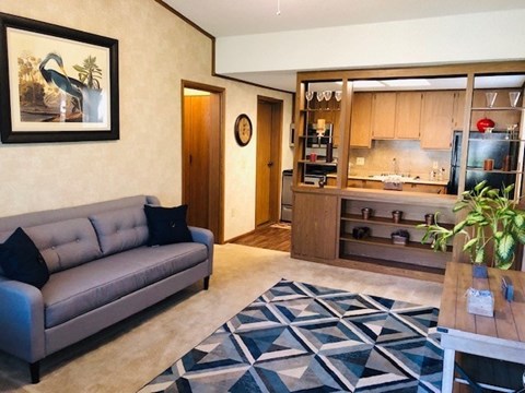 A living room with a grey couch and a wooden cabinet.