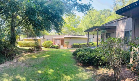 A backyard with a lawn and a house.