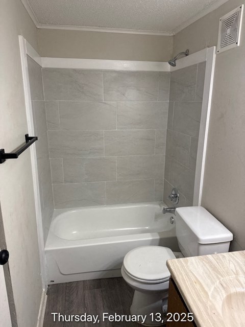 A bathroom with a toilet, tub, and towel rack.