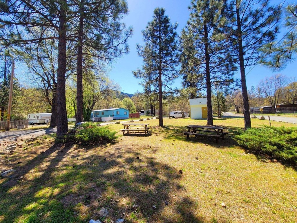 a park with picnic tables and tall trees