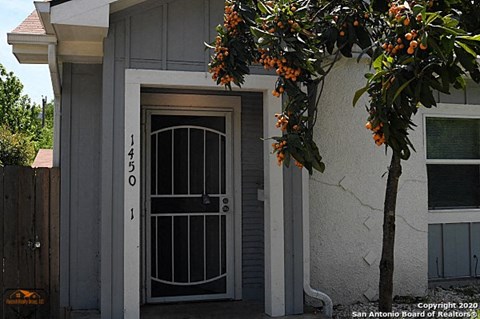 a house with a door and a tree