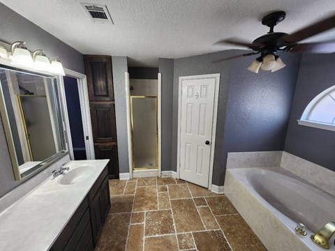 a bathroom with a tub and a sink and a ceiling fan