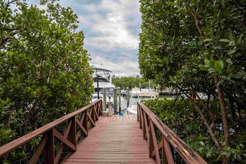 A wooden bridge leads to a marina with boats.