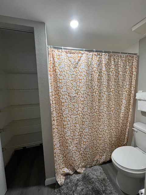 A bathroom with a toilet, a shower curtain and a rug.