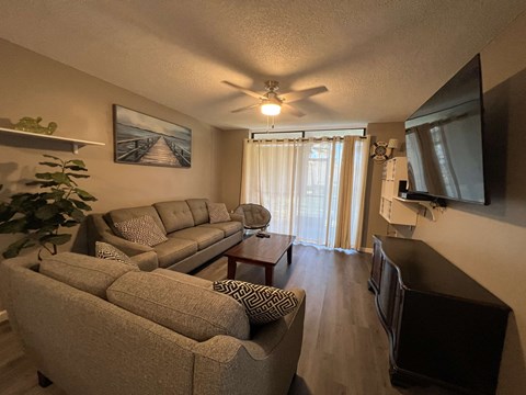 A living room with a grey couch, a coffee table, and a flat screen TV mounted on the wall.