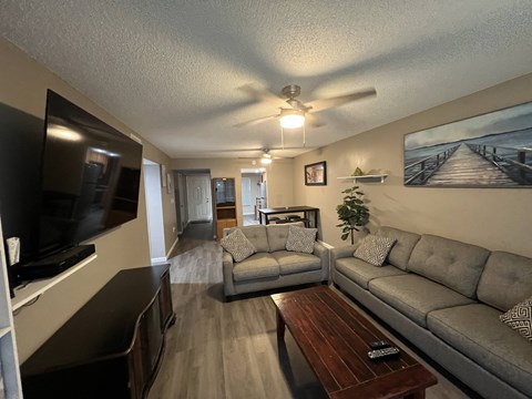 A living room with a grey couch, a wooden coffee table, and a television.