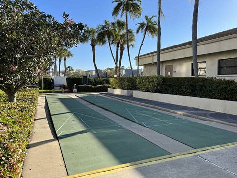 A basketball court is surrounded by trees and bushes.