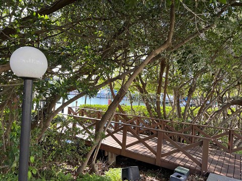 A bridge is seen through the trees.