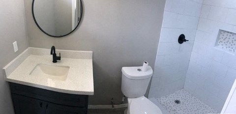 a bathroom with a toilet and a sink and a mirror