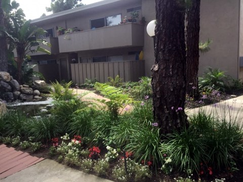 a garden with a tree in front of a building