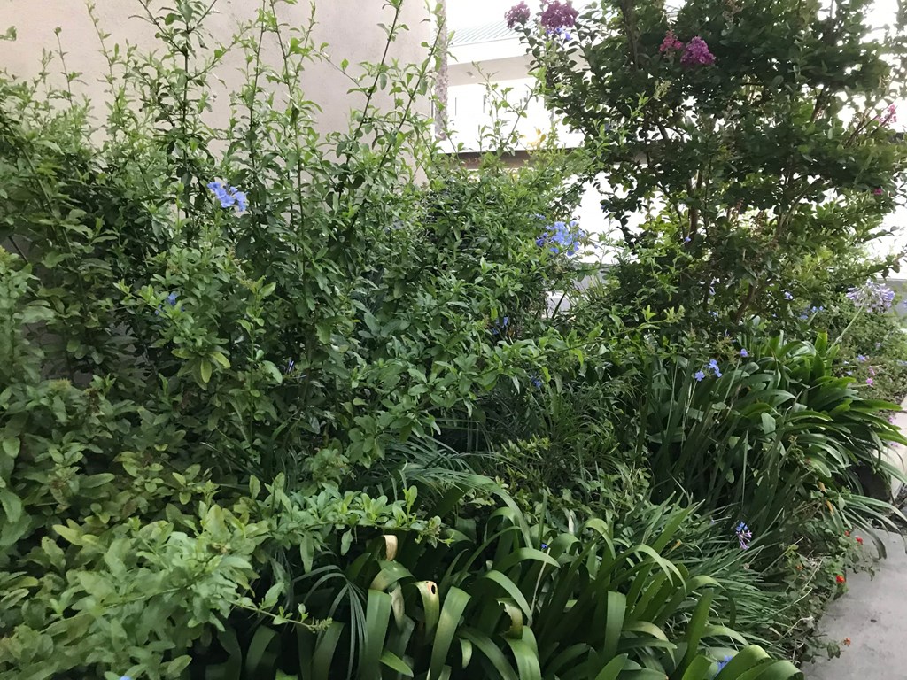 Beachwood Village Apartments