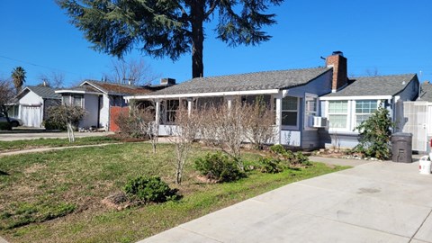 A house with a white fence and a tree in front.
