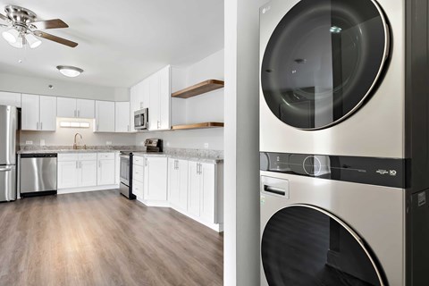 1135 W. Ogden Avenue Studio Apartment for Rent