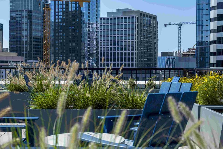 Pivot Apartments, 1208 Pine Street, Seattle, WA RentCafe