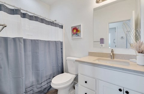 a bathroom with a shower and a sink and a toilet