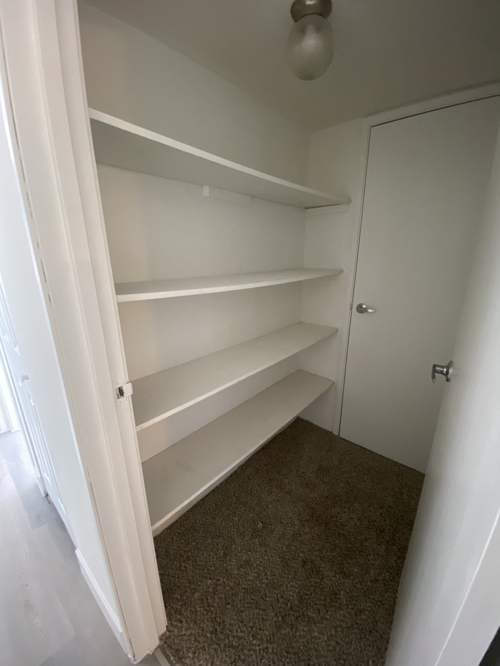 a walk in closet with shelves and a door